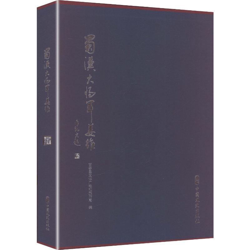 蜀汉大将军姜维