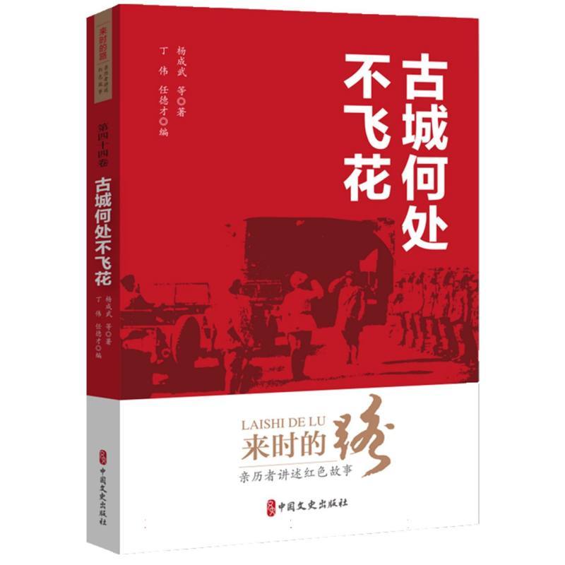 古城何处不飞花
