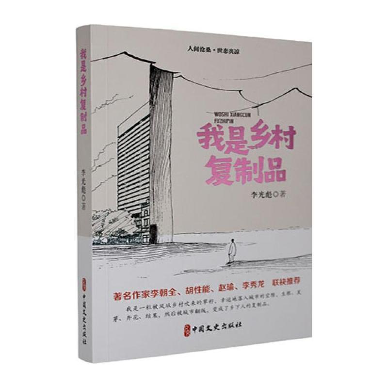 我是乡村复制品