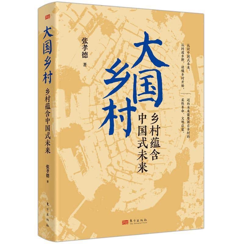 大国乡村—乡村蕴含中国式未来