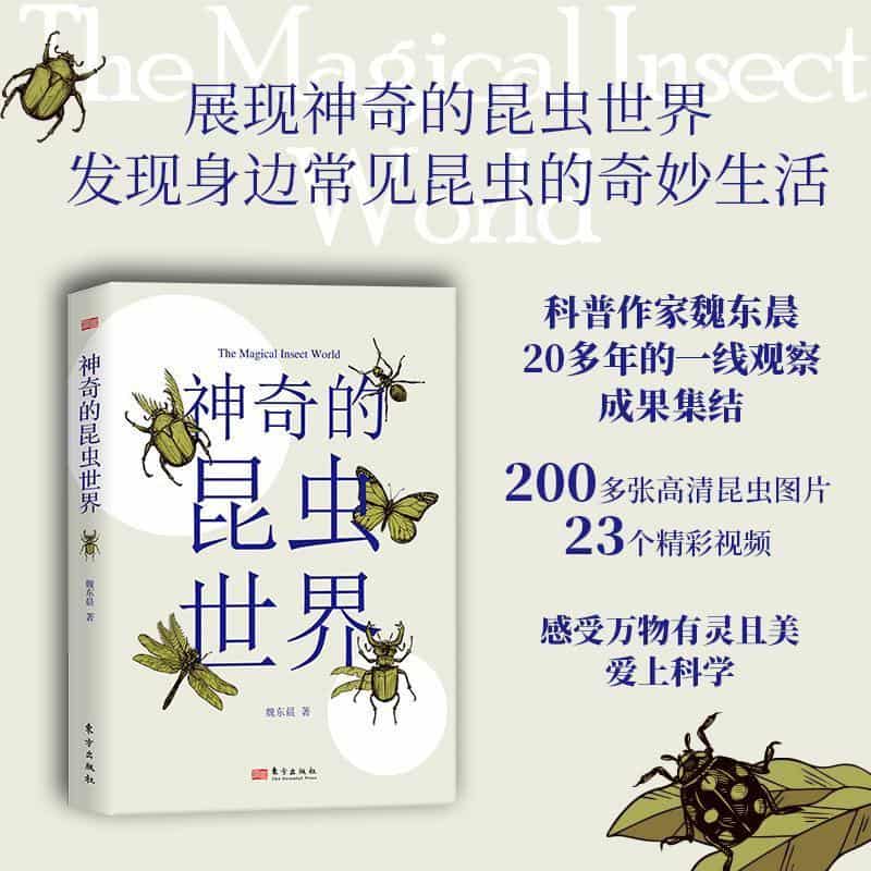 神奇的昆虫世界