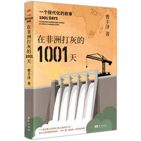 在非洲打灰的1001天—一个现代化的故事