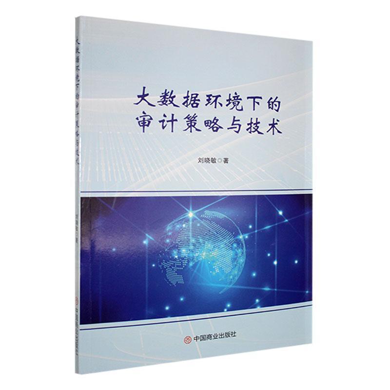 大数据环境下的审计策略与技术