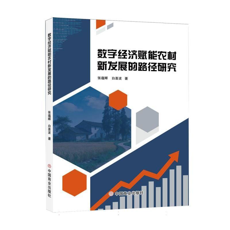 数字经济赋能农村新发展的路径研究