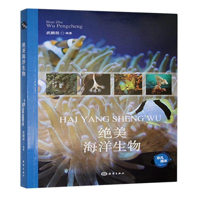 绝美海洋生物