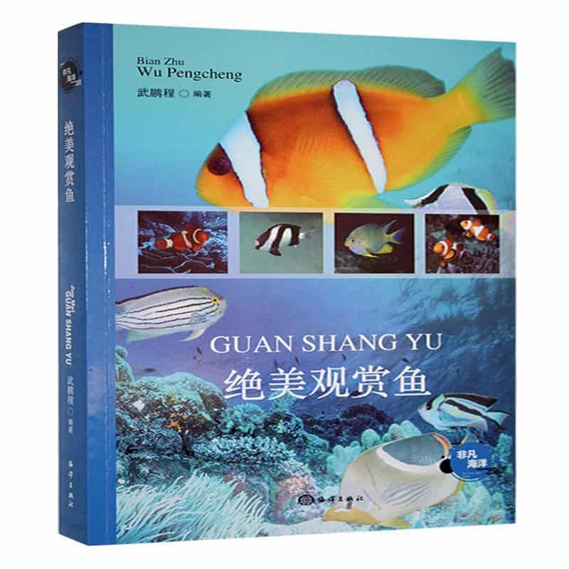 绝美观赏鱼