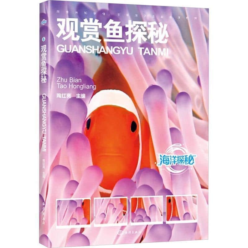 观赏鱼探秘