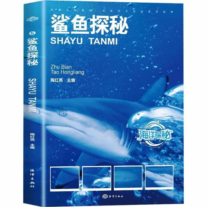 鲨鱼探秘