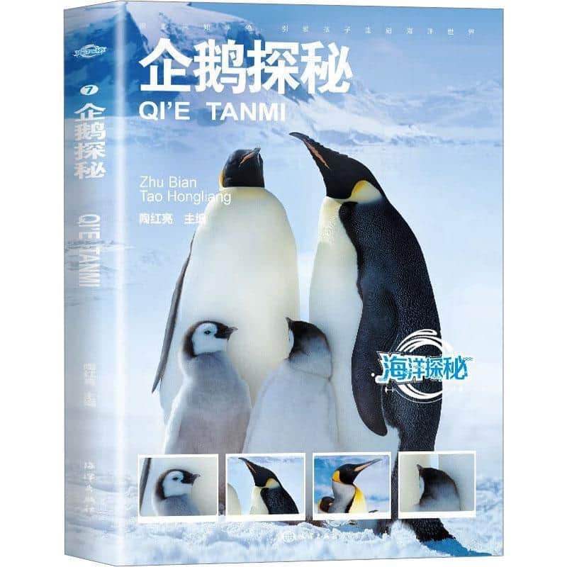企鹅探秘