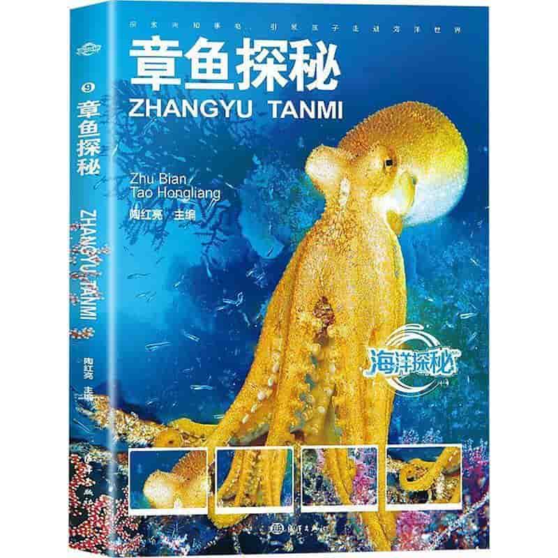 章鱼探秘