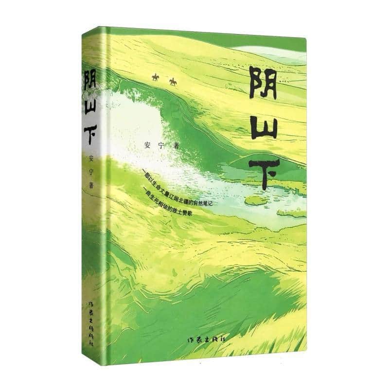 阴山下