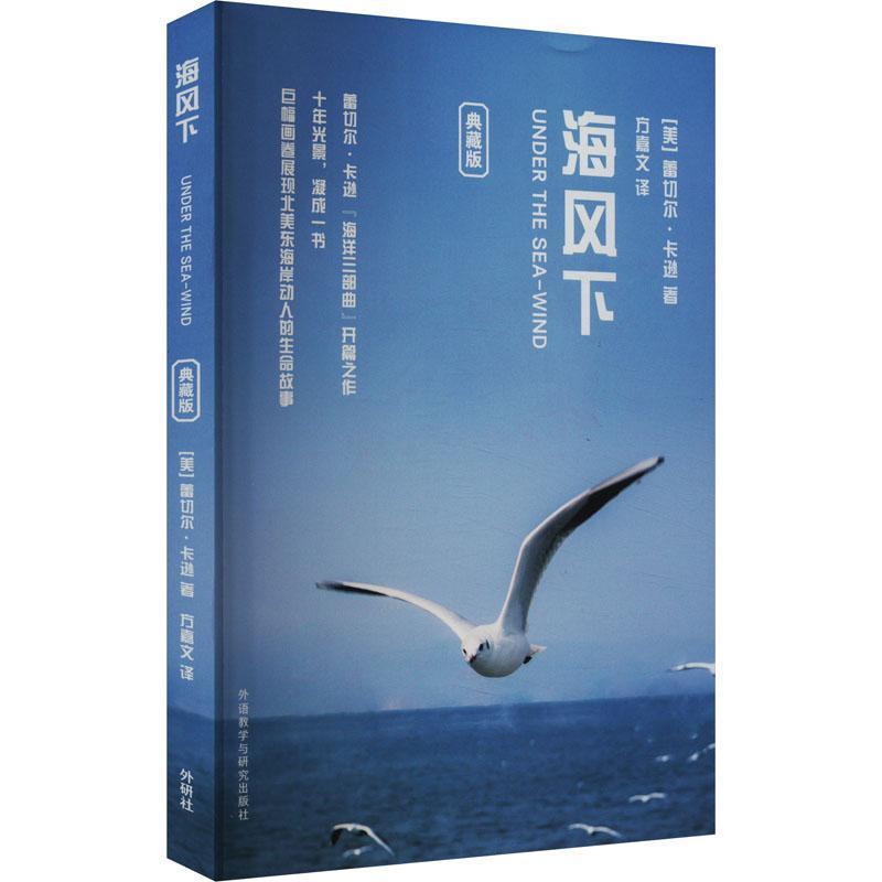 海风下—典藏版