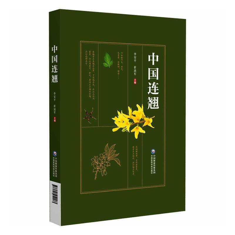 中国连翘