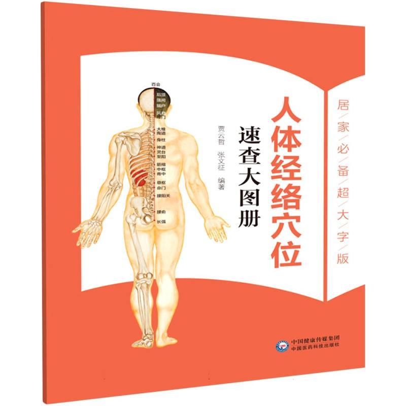 人体经络穴位速查大图册