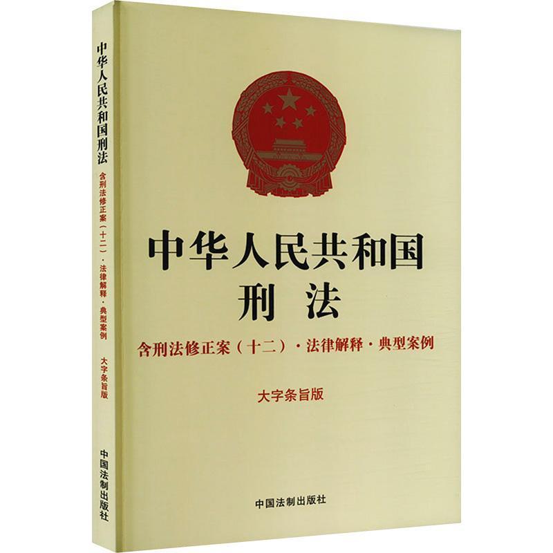 中华人民共和国刑法—大字条旨版