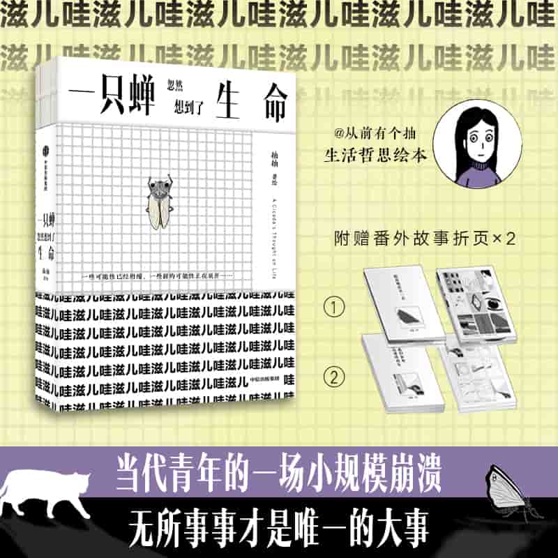 一只蝉忽然想到了生命