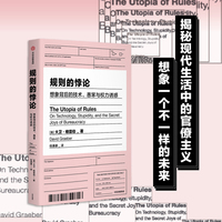 规则的悖论—想象背后的技术、愚笨与权力诱惑—on technology, stupidity, and the secret joys of bureaucracy