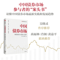 中国债券市场—制度建设与投资人保护