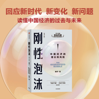 刚性泡沫—中国经济的增长和风险