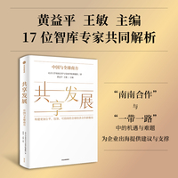 共享发展—中国与全球南方