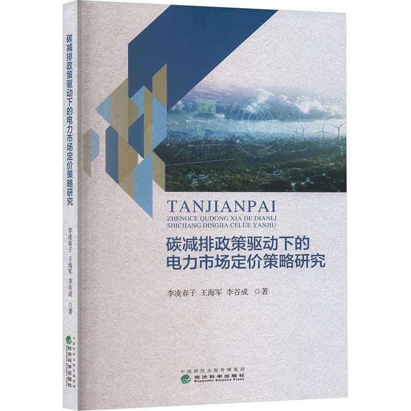 碳减排政策驱动下的电力市场定价策略研究