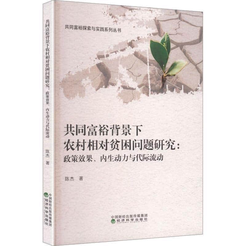 共同富裕背景下农村相对贫困问题研究—政策效果、内生动力与代际流动