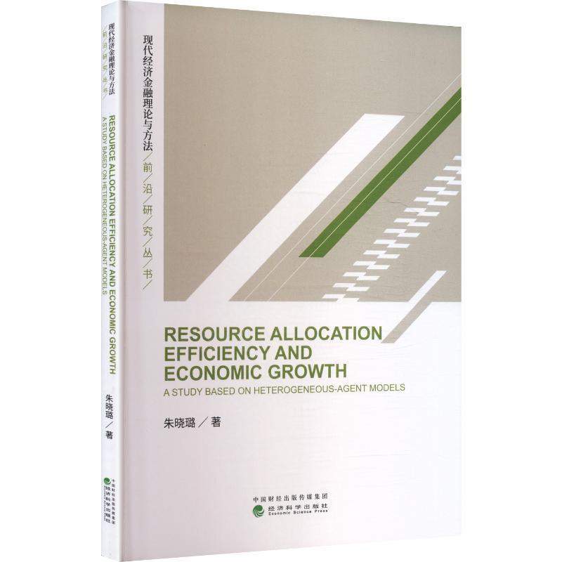 Resource allocation efficiency and economic growth—a study based on heterogeneous-agent models