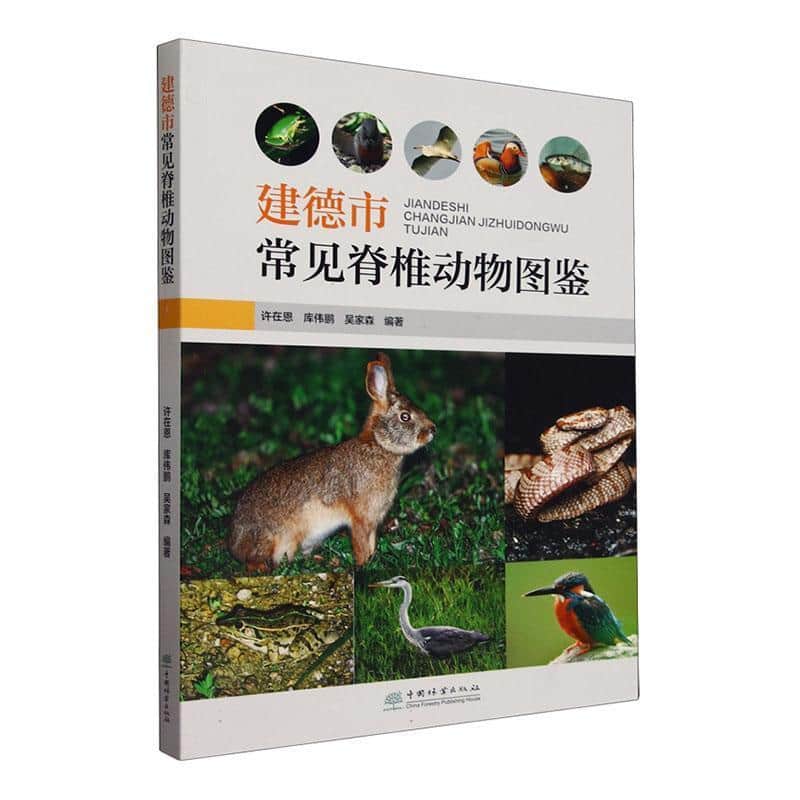 建德市常见脊椎动物图鉴