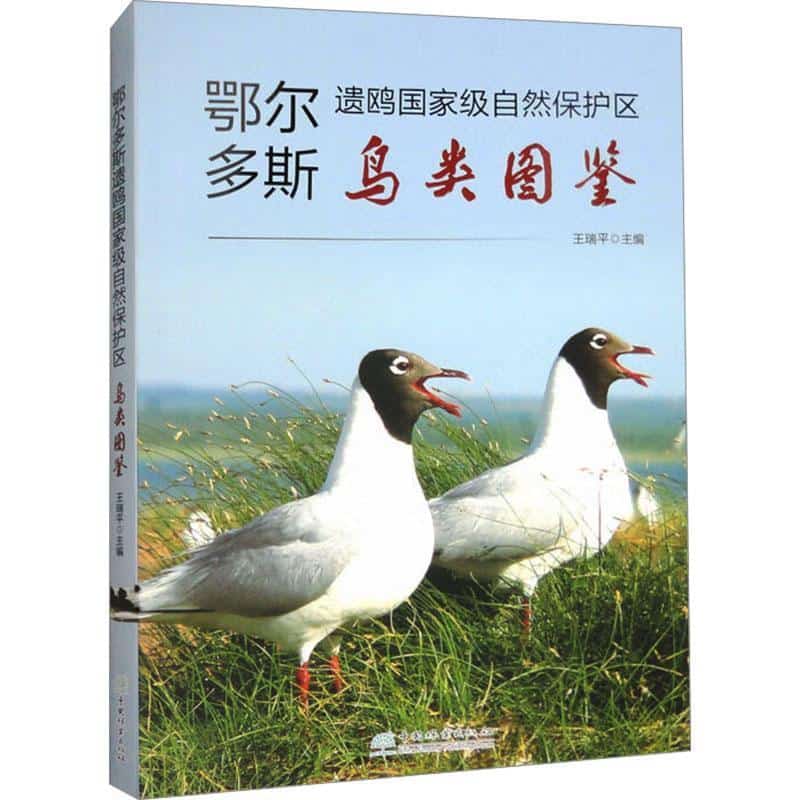 鄂尔多斯遗鸥国家级自然保护区鸟类图鉴