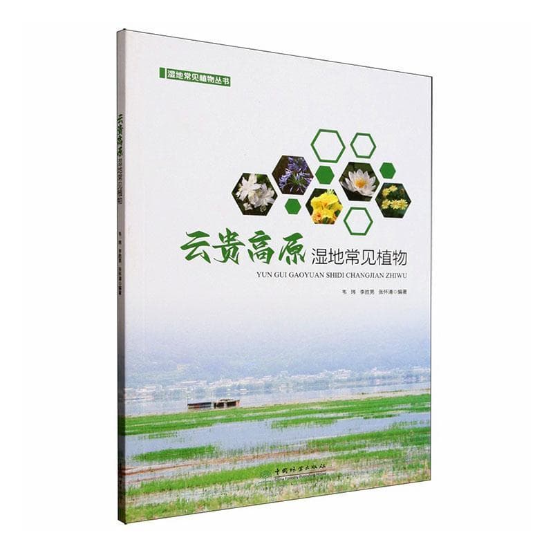 云贵高原湿地常见植物