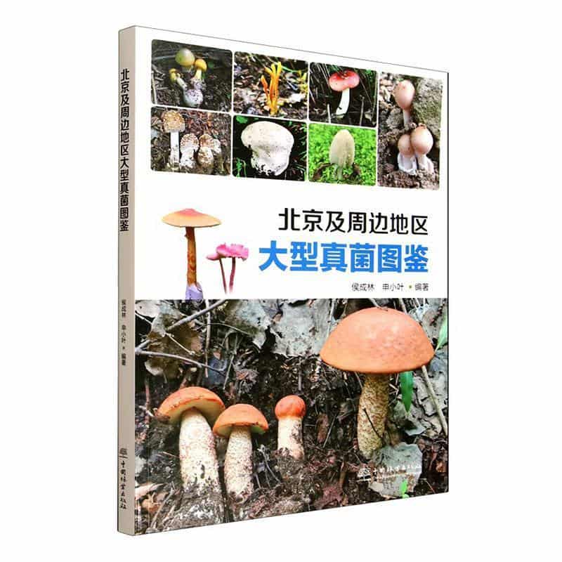 北京及周边地区大型真菌图鉴