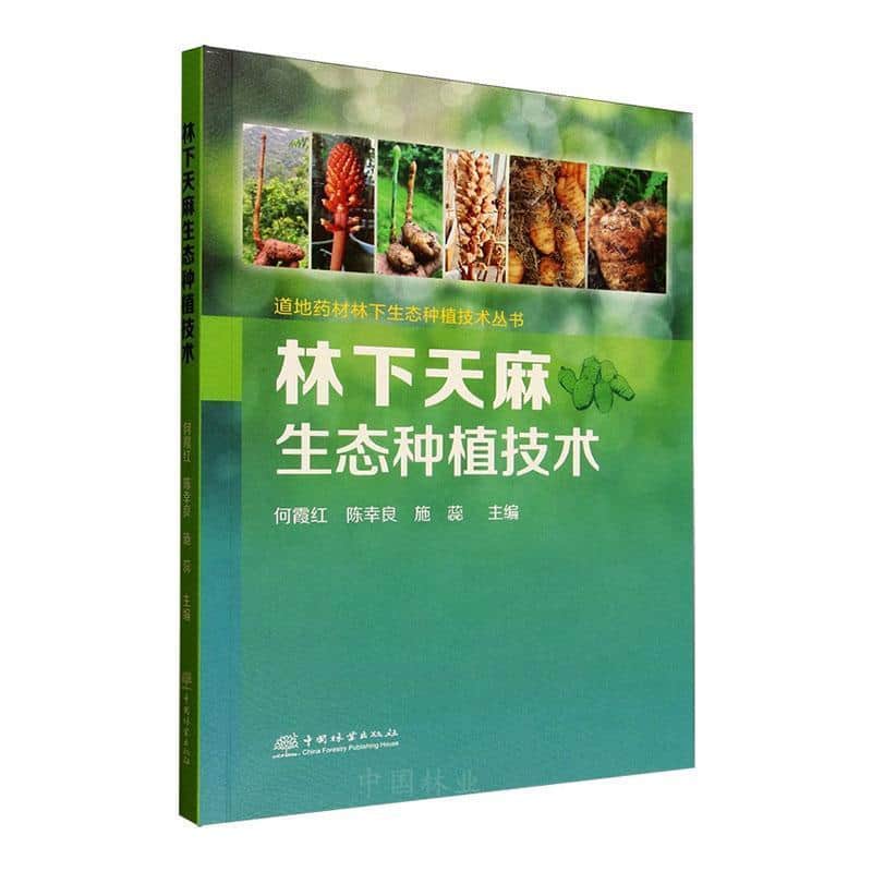 林下天麻生态种植技术