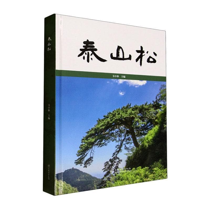 泰山松