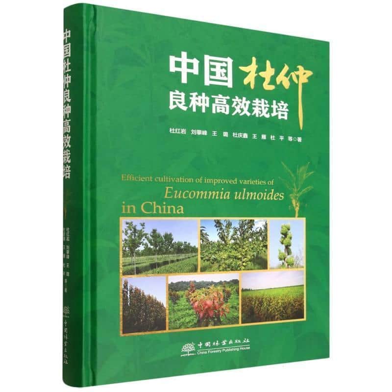 中国杜仲良种高效栽培