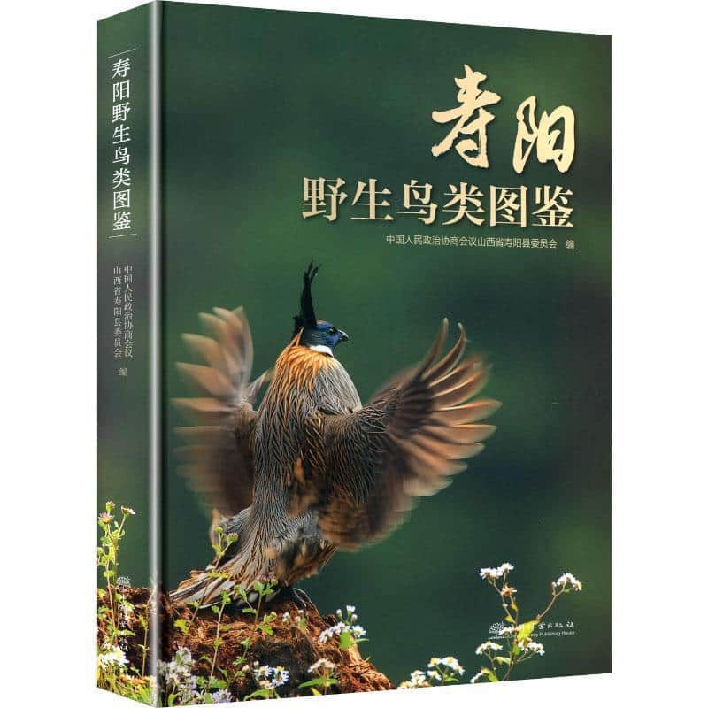 寿阳野生鸟类图鉴