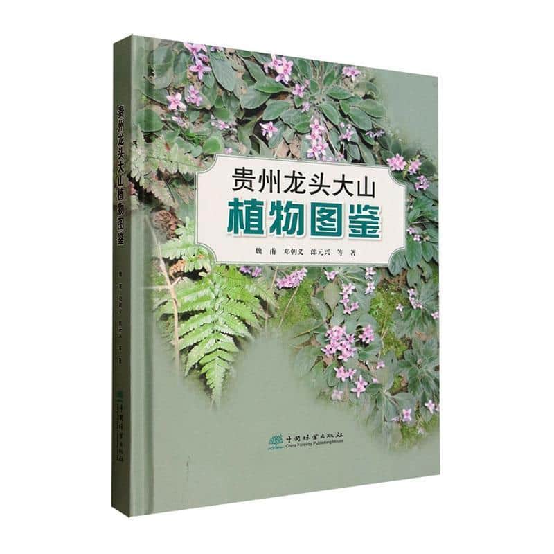 贵州龙头大山植物图鉴