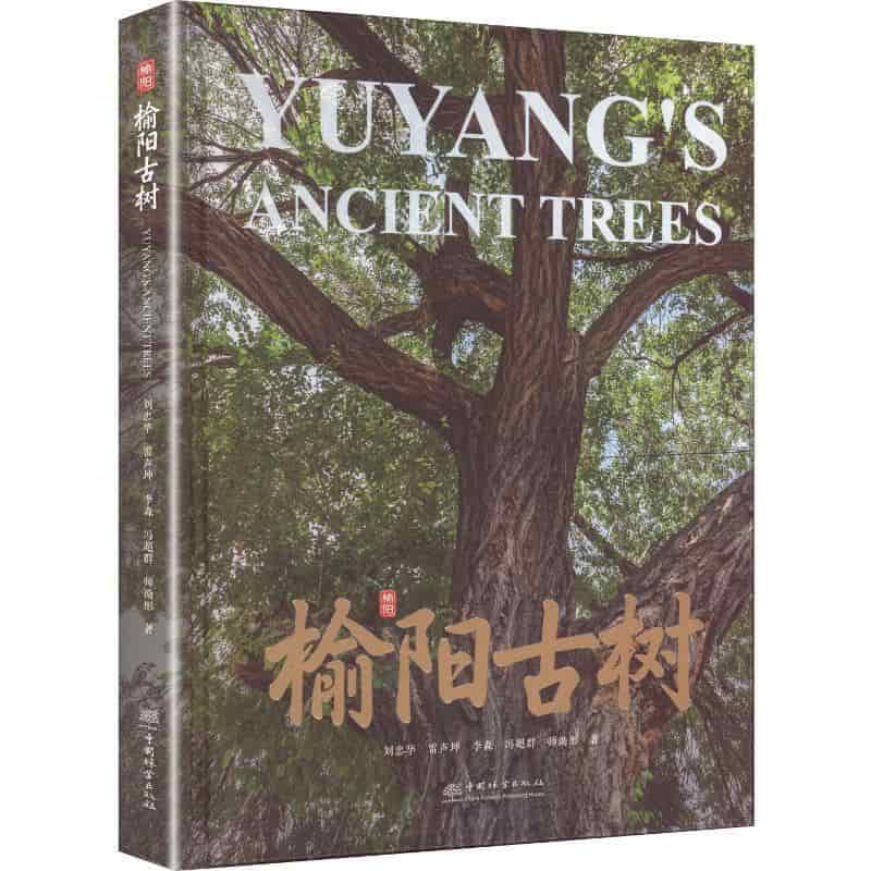 榆阳古树