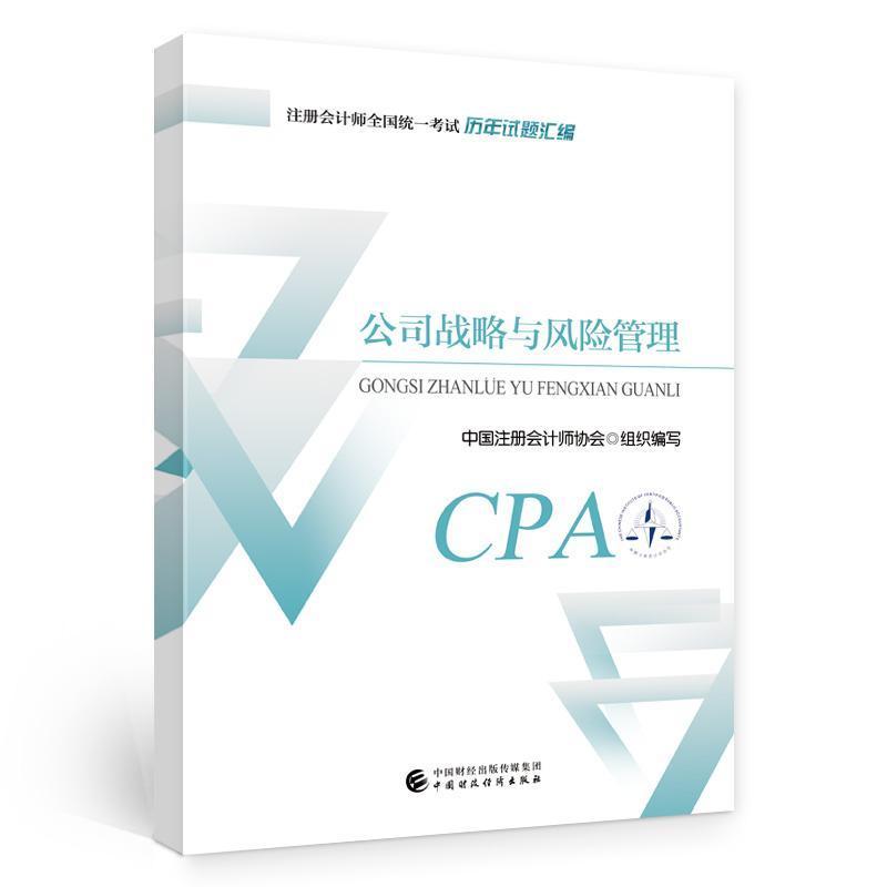 公司战略与风险管理