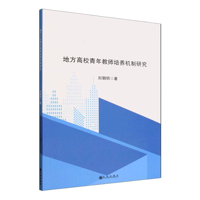 地方高校青年教师培养机制研究