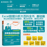 效率是这样练成的—Excel高效数据处理与分析—案例视频精华版