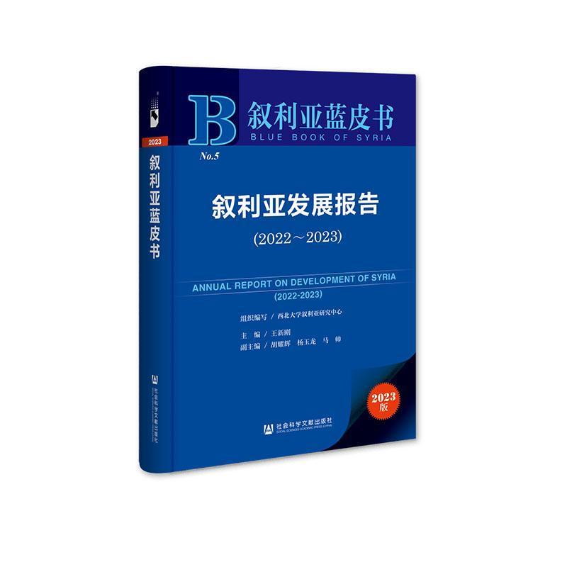 叙利亚发展报告(2022-2023)(2022-2023)