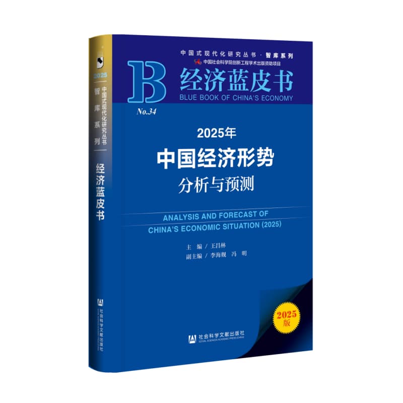 2025年中国经济形势分析与预测—(2025):