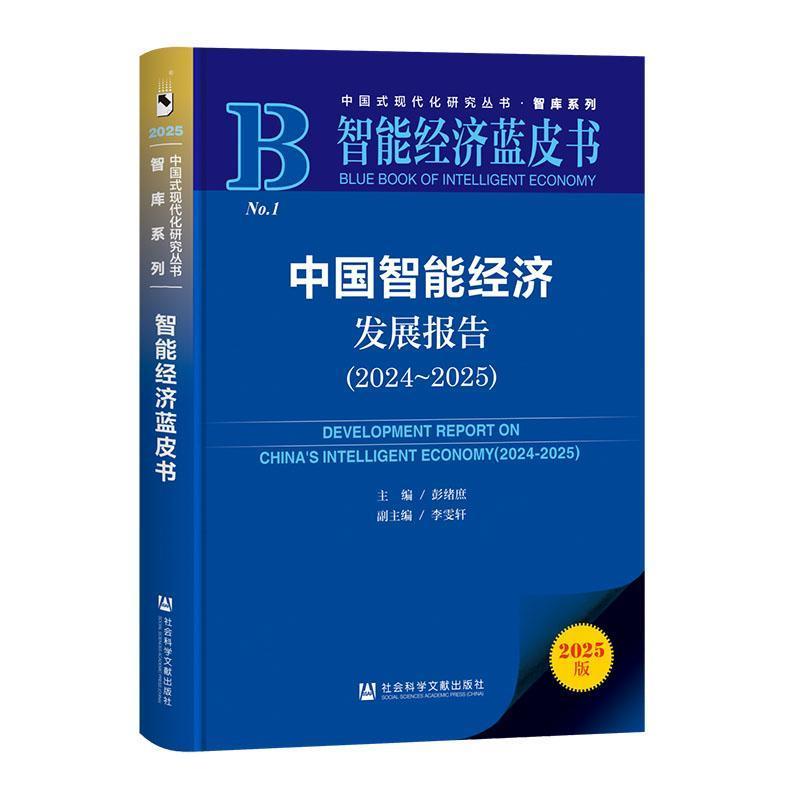 中国智能经济发展报告—2024-2025—2024-2025