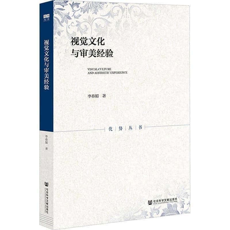 视觉文化与审美经验