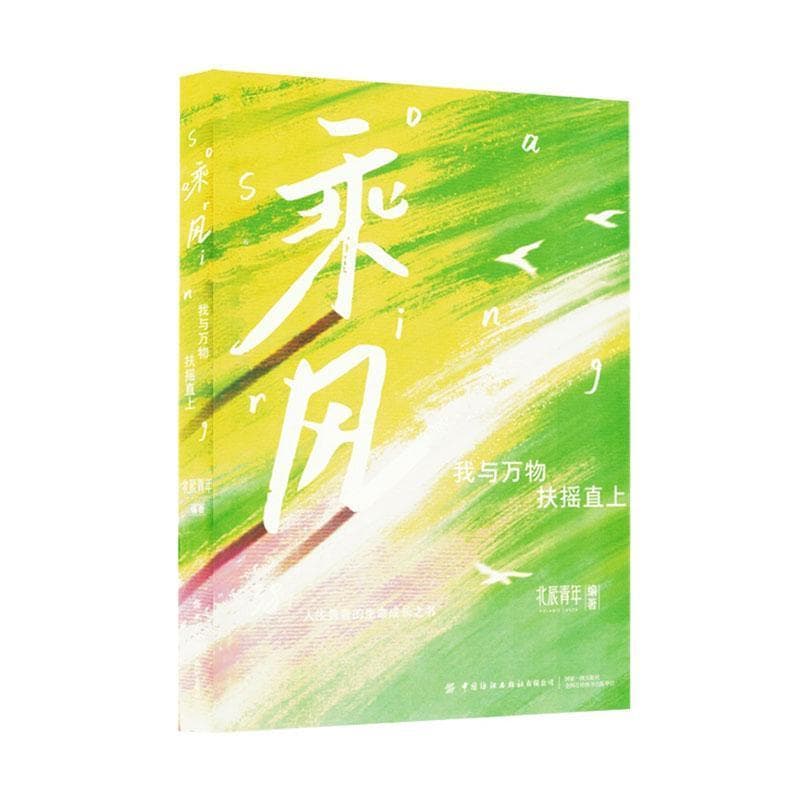 乘风—我与万物扶摇直上: