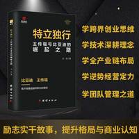 特立独行—王传福与比亚迪的崛起之路