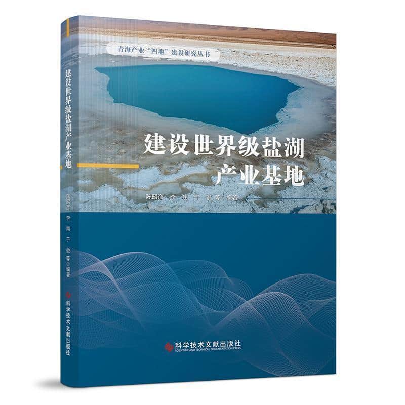 建设世界级盐湖产业基地