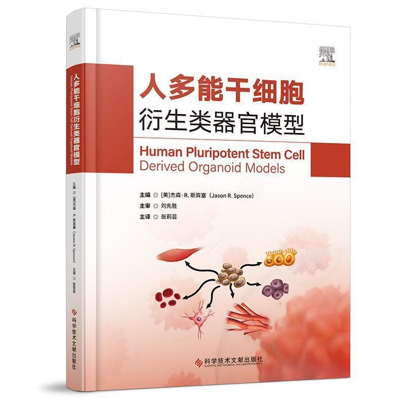 人多能干细胞衍生类器官模型