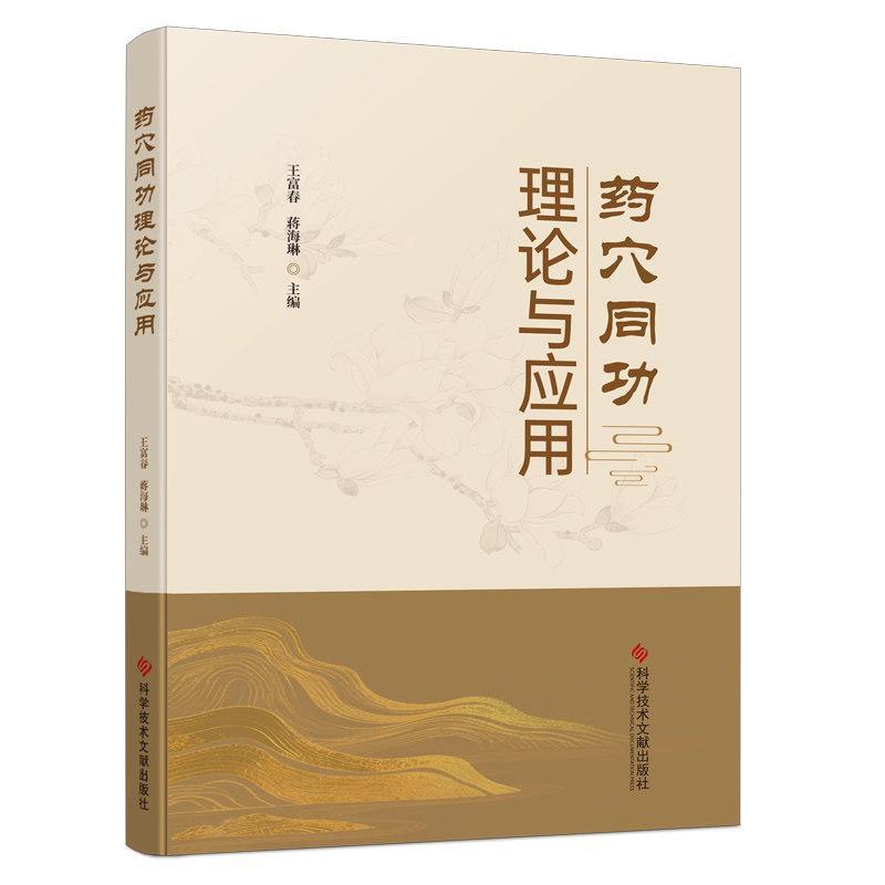 药穴同功理论与应用