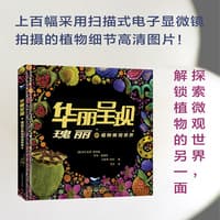 华丽呈现—瑰丽的植物微观世界: